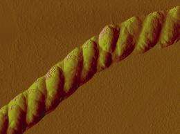 A Nanoscale Rope, and Another Step Toward Complex Nanomaterials That Assemble Themselves