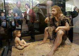 A Neanderthal man ancestor's reconstruction