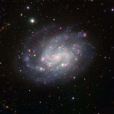 A nearby galactic exemplar