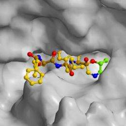 A new mechanism for reversible proteasome inhibition