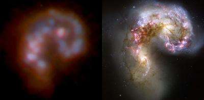 Bright galaxies like to stick together