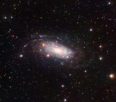 A picture-perfect pure-disc galaxy