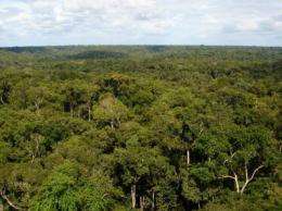 'Archeologists of the air' isolate pristine aerosol particles in the Amazon