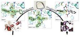 Artificial metalloenzymes, the chemical synthesis of the future