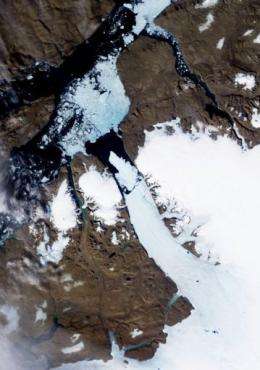 A satellite image of the Petermann Glacier taken by the Moderate Resolution Imaging Spectroradiometer on August 5