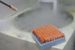 A scientific researcher handles frozen embryonic stem cells