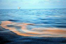 A slick of chemically dispersed oil floats in the Gulf of Mexico