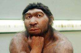 A study shows Neanderthals ate their veggies