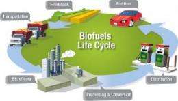 A wiki for the biofuels research community