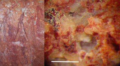 Bacteria and fungi keep some ancient Australian rock art colors vivid