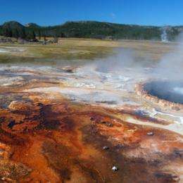 Bacterial growths may offer clues about Earth's distant past