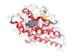 Supercomputing research opens doors for drug discovery