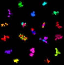 Biologists publish findings on cell interactions