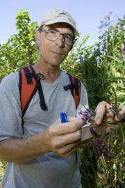 Budding research links climate change and earlier flowering plants