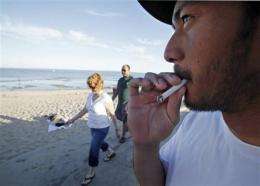 Calif. considers smoking ban at all state parks (AP)