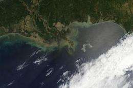 Caution required for Gulf oil spill clean-up