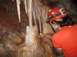 Cave reveals Southwest's abrupt climate swings during Ice Age