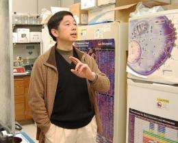 Chemical tags likely to affect metabolism, cancer development