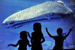 Children watch the giant image of a whale shark on a huge screen in Tokyo