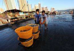 Chinese fishermen deliver their day's catch in southern China's Guangdong province