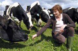 Choosing organic milk could offset effects of climate change