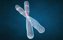 Chromosome's Guardians Susceptible to UV Radiation, Scientists Find