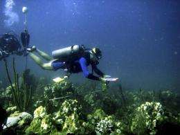 Climate goal may spell end for some coral reefs (AP)