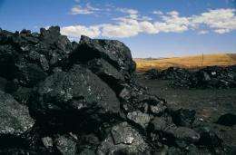 Coal from mass extinction era linked to lung cancer mystery