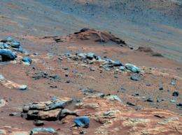Colonization of Mars might be microbes away