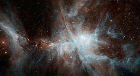 Colony of Young Stars Shines in New Spitzer Image