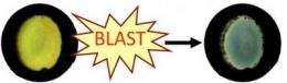 Color-changing 'blast badge' detects exposure to explosive shock waves