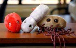 Conn. company's stuffed germ toys catching on (AP)