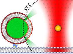 Controlled heating of gold nanoparticles