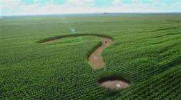 Corn syrup producers want sweeter name: corn sugar (AP)