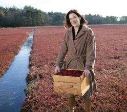 Cranberry juice shows promise blocking Staph infections