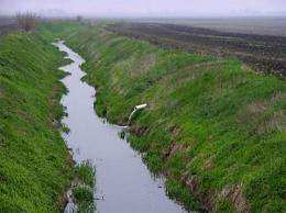 Dead zones in Gulf caused, in part, by farm drainage