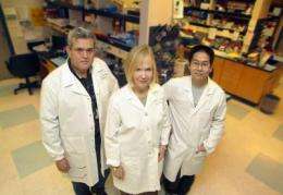 Discovery points toward anti-inflammation treatment for blinding disease