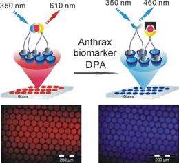 Dutch researchers develop anthrax sensor