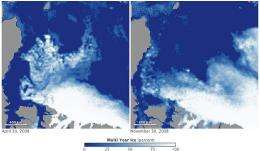 Role of melt in arctic sea ice loss found by NASA study