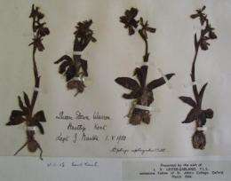 Ecologists find new clues on climate change in 150-year-old pressed plants
