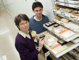 Ecologists receive mixed news from fossil record