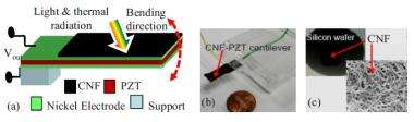Cantilever bends repeatedly under light exposure for continuous energy generation