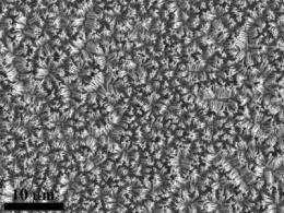 Engineering researchers simplify process to make world's tiniest wires