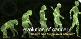 Evolution of cancer can shed light on drug resistance