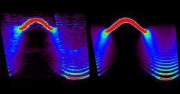 Exotic symmetry seen in ultracold electrons