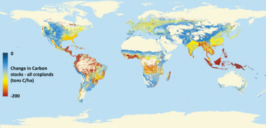Expanding croplands chipping away at world's carbon stocks