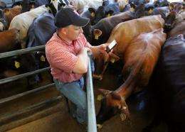 Farmers defend way of life with Facebook, Twitter (AP)