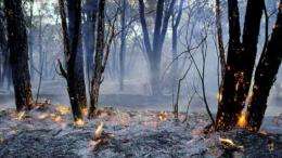 Aspects of prescribed burning questioned by experts