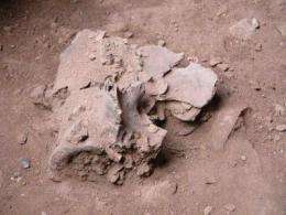 First clear evidence of feasting in early humans