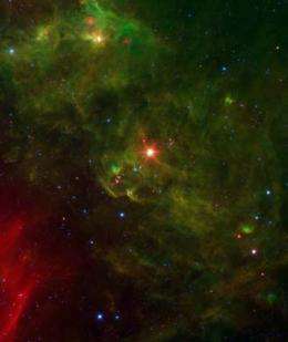 Flaring Young Stars
